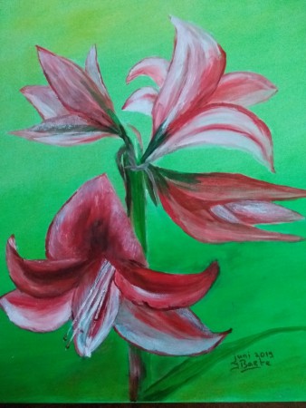 Amaryllus, olieverf 2019,Verkocht